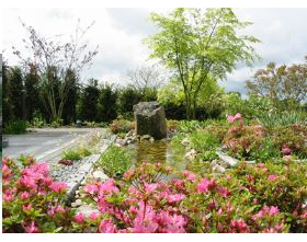 Kundenfoto 1 Steegmann T. Garten- und Landschaftsbau