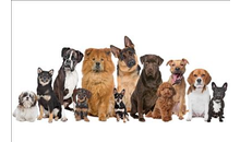 Kundenbild groß 1 Meinert Petra