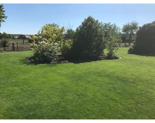 Kundenfoto 1 Sommerfeld Garten- und Landschaftsbau - Inh. Volker Sommerfeld