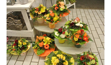Kundenbild groß 2 Blumen Aymans - KORNBLUME - Landhandel und Floristik