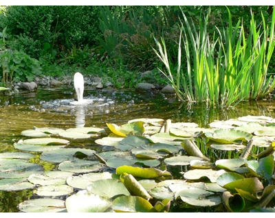 Kundenfoto 6 Sahlberg GmbH