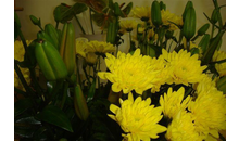 Kundenbild groß 5 Blumen Wolters
