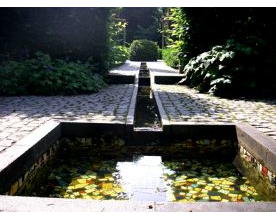 Kundenfoto 8 Steegmann T. Garten- und Landschaftsbau