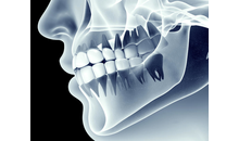 Kundenbild groß 8 Seltmann Marion Dr. Zahnarztpraxis