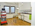 Kundenfoto 4 Praxis für Kleintiermedizin Dr. med. vet. Birte Götte Tierarzt