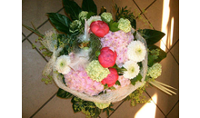 Kundenbild groß 5 Blumen Blüte & Stil