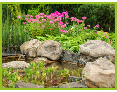 Kundenfoto 2 Garten- & Landschaftsbau Nitsche Markus