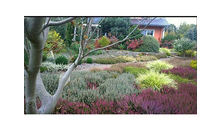 Kundenbild groß 4 Garten- und Landschaftsbau Annett Petrick