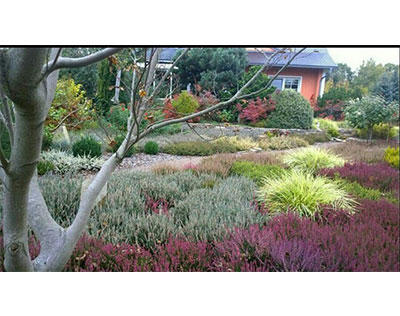 Kundenfoto 4 Garten- und Landschaftsbau Annett Petrick