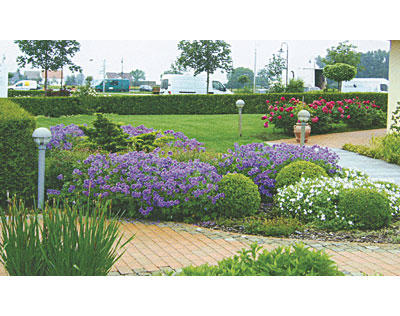 Kundenfoto 1 Garten- und Landschaftsbau Annett Petrick