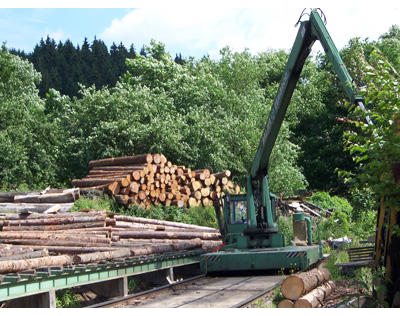 Kundenfoto 5 Sägewerk & Holzhandel Uwe Schauer