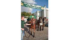 Kundenbild groß 5 Mauritius Brauerei GmbH