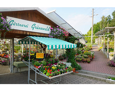 Kundenfoto 9 Gärtnerei Grünewald
