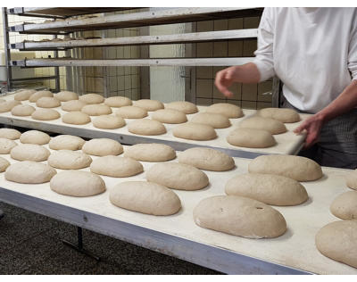 Kundenfoto 9 Bäckerei & Konditorei Vieweger, Steffen