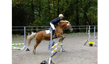 Kundenbild groß 8 Reitschule Brendlberg