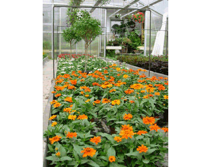 Kundenfoto 3 Blumen Böck