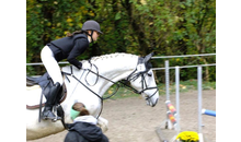 Kundenbild groß 7 Reitschule Brendlberg