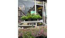 Kundenbild groß 1 Blumen Bittdorf
