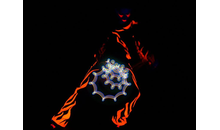 Kundenbild groß 8 Steybe Ullich