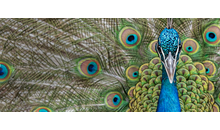 Kundenbild groß 1 Blumenstein Matthias