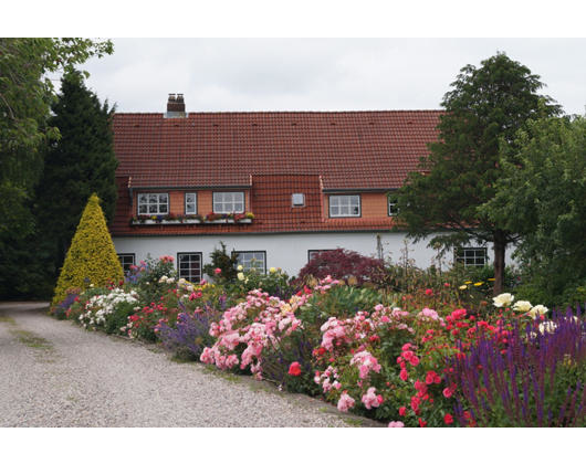 Kundenfoto 2 Garten Dittmann Baumschule