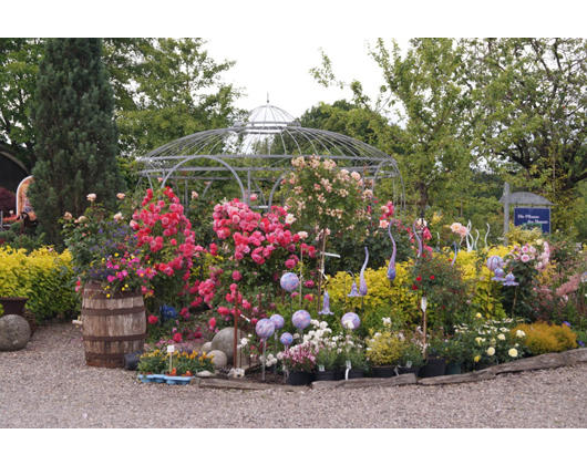 Kundenfoto 1 Garten Dittmann Baumschule