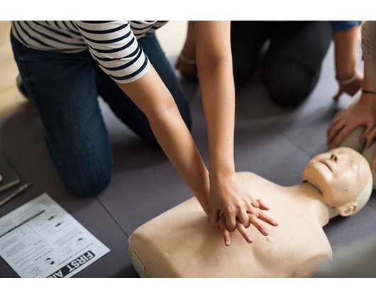 Kundenfoto 1 Erste Hilfe Kurs - GO Medical