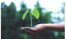 Kundenbild groß 3 Spengler & Ströher Gartengestaltung