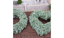 Kundenbild groß 4 Spengler & Ströher Gartengestaltung