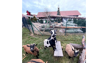 Kundenbild groß 6 Spengler & Ströher Gartengestaltung