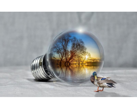 Kundenfoto 4 Energie Effizienz Büro