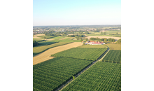 Kundenbild groß 2 Immobilien Passberger