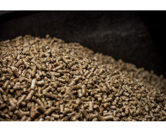 Kundenbild groß 1 myPellis Kundenbild groß 1 myPellis