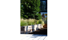 Kundenbild groß 3 MAJUNTKE - Professionelles Grün