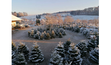 Kundenbild groß 2 Spengler & Ströher Gartengestaltung