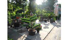 Kundenbild groß 9 Schneider Garten Baumschule