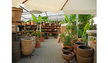 Kundenbild groß 10 Schneider Garten Baumschule
