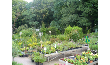 Kundenbild groß 8 Pflanzenmarkt Bohnsdorf