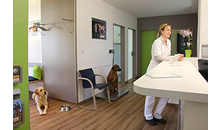 Kundenbild groß 6 Tierarztpraxis am Ilsesee - Veternicum Königsbrunn GmbH