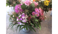 Kundenbild groß 2 Galerie Blume sucht Vase