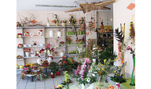 Kundenbild groß 3 Blumen-Atelier Panzer Caroline