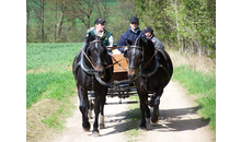 Kundenbild groß 5 Reiterhof Lamprecht