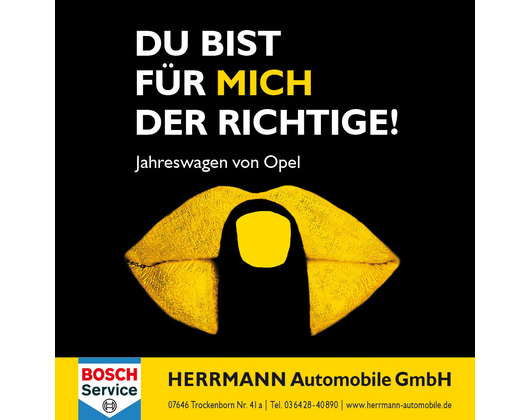Kundenfoto 8 Autohaus Herrmann-Automobile GmbH
