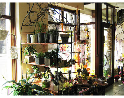 Kundenfoto 4 Blumen-Atelier Panzer Caroline