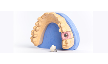 Kundenbild groß 3 Bäuml Christoph Dr.
