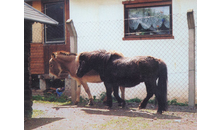 Kundenbild groß 3 Tierheim Pflanzwirbach