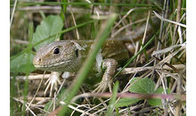 Kundenbild groß 1 Böscha GmbH