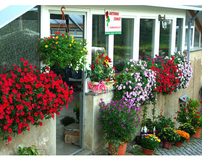 Kundenfoto 1 Schmidt Gartenbau