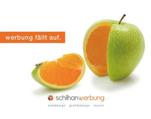 Kundenfoto 2 schilhanwerbung