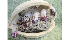 Kundenbild groß 4 Hauptmann Simone Nails & Beauty